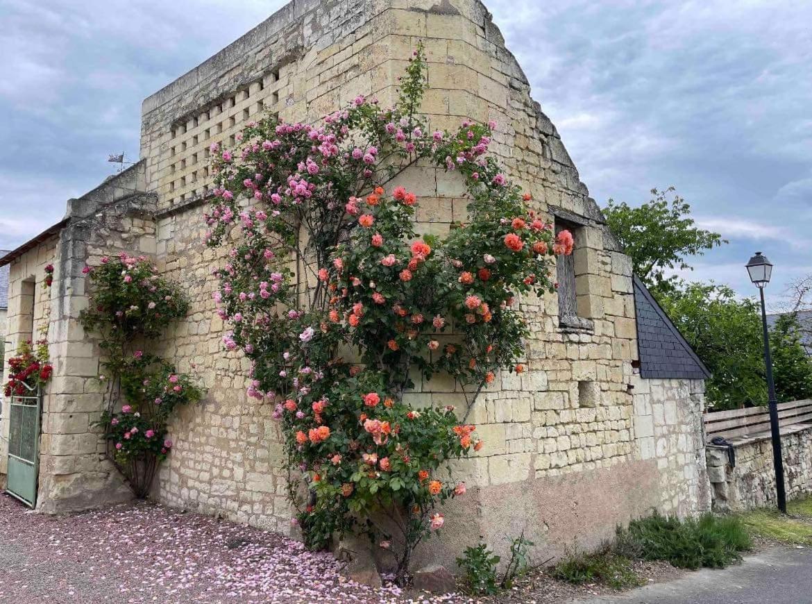 Quarto em Acomodações Particulares Le Colombier Le Coudray-Macouard